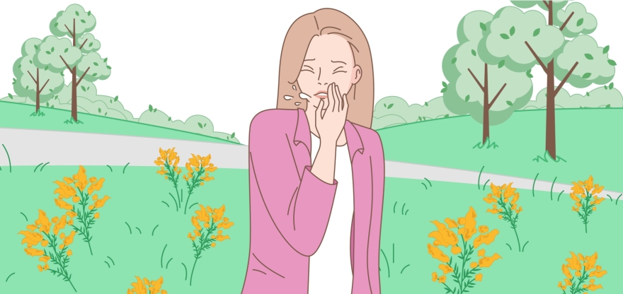 Аллергия на амброзию