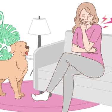 Превью статьи Аллергия на собак